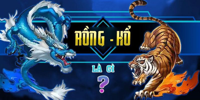 Những chiến thuật nâng cao giúp chinh phục sảnh cược rồng hổ