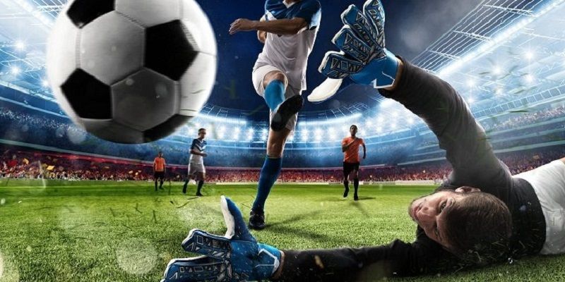 Khám phá những nét đặc trưng nổi bật của SABA thể thao